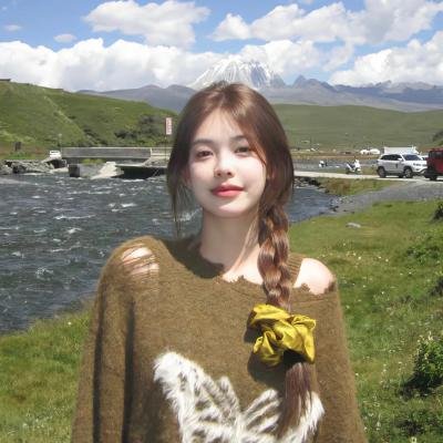 排球少年：特集！赌在春高上的青春